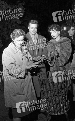 Karlheinz Böhm, Ingrid Andree