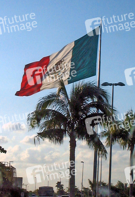 Mexikanische Fahne