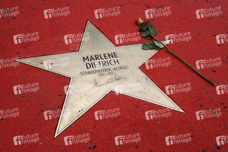 Stern von Marlene Dietrich