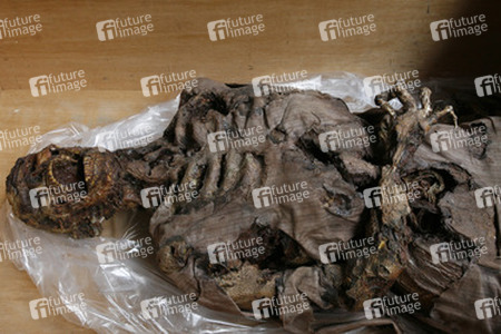 Modelll einer Leiche