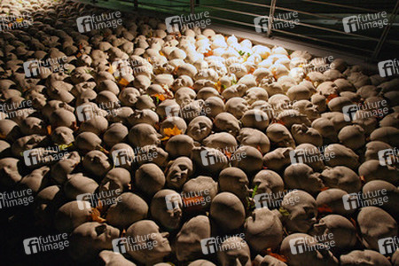 Kopfsteinpflaster von Timm Ulrichs