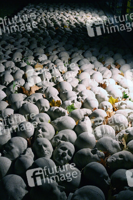 Kopfsteinpflaster von Timm Ulrichs