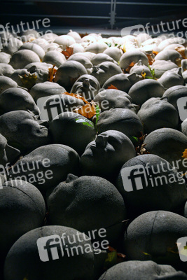 Kopfsteinpflaster von Timm Ulrichs