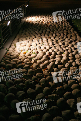 Kopfsteinpflaster von Timm Ulrichs