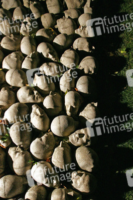 Kopfsteinpflaster von Timm Ulrichs