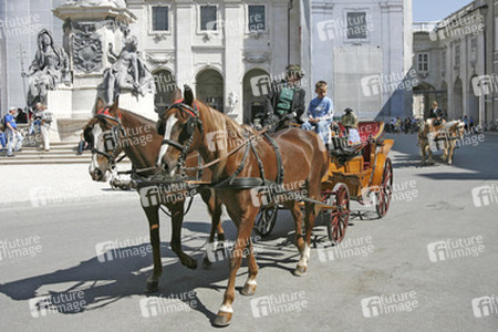 Fiaker vor der Mariensäule