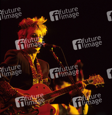 Konzert der Stray Cats in London