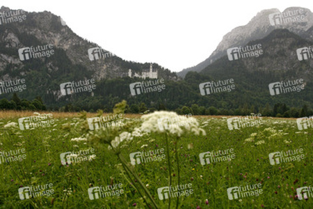 Schloss Neuschwanstein