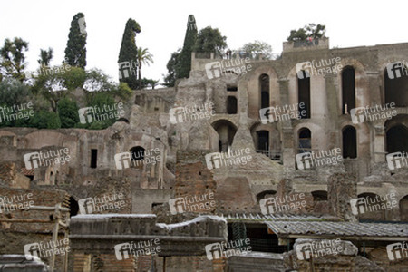 Monte Palatino / Palatin