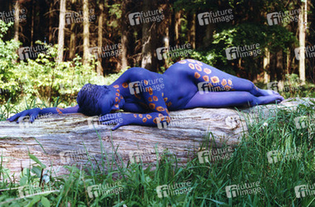 Blaue Waldfee / Blue Fairy
