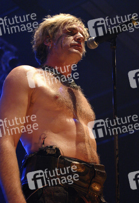 Das letzte Einhorn / Michael Robert Rhein