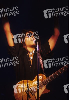 Konzert von Lenny Kravitz in London