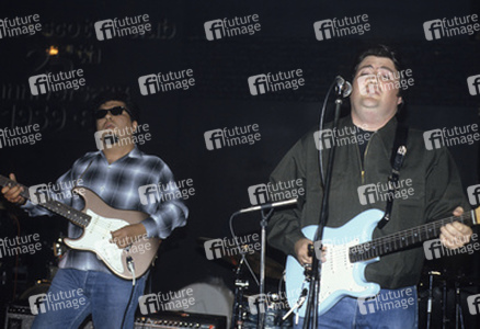 Konzert von Los Lobos in London