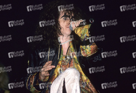 Reading Rock Festival 1986