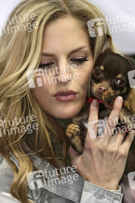 Sandy Mölling (No Angels)