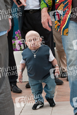 Verne Troyer