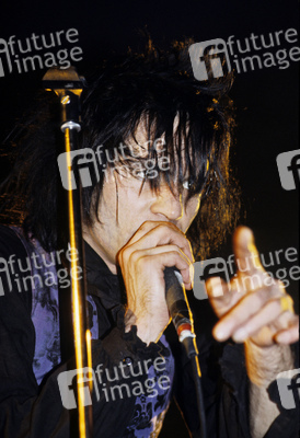 Konzert von Wall of Voodoo in London