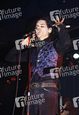 Konzert von Wall of Voodoo in London