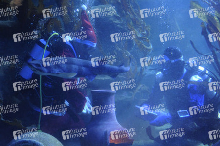 Der Weihnachtsmann im Sea Life
