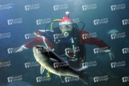 Der Weihnachtsmann im Sea Life