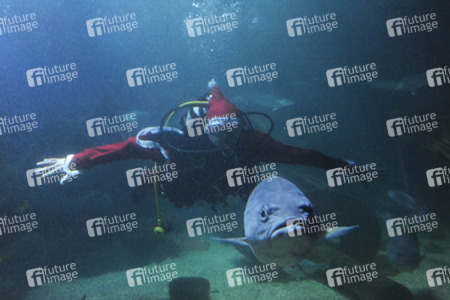 Der Weihnachtsmann im Sea Life