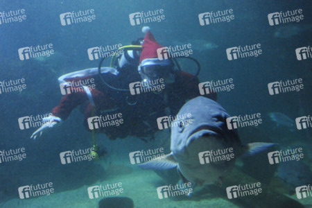 Der Weihnachtsmann im Sea Life