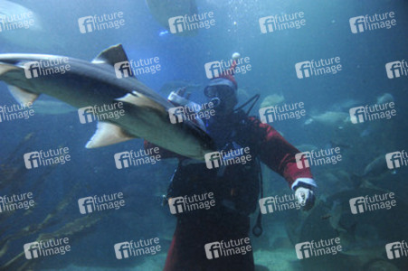 Der Weihnachtsmann im Sea Life