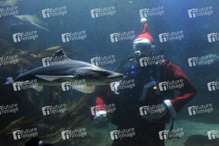 Der Weihnachtsmann im Sea Life