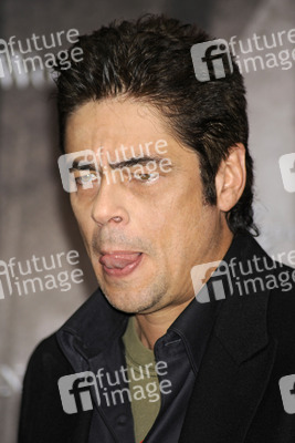 Benicio Del Toro
