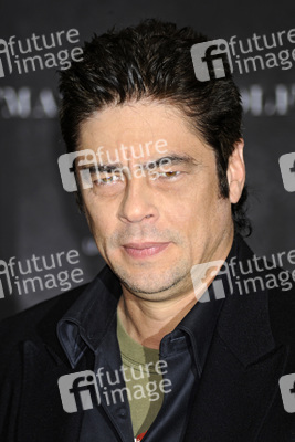 Benicio Del Toro