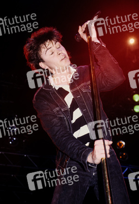 Konzert von Paul Young & The Royal Family in London