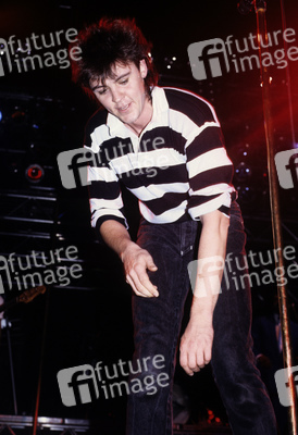 Konzert von Paul Young & The Royal Family in London