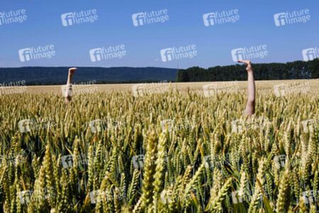 Arme im Getreidefeld