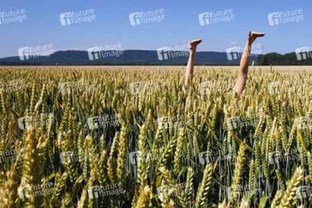 Arme im Getreidefeld