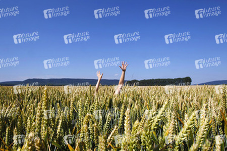 Arme im Getreidefeld