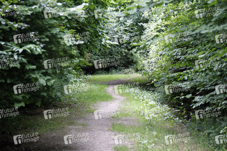 Waldweg