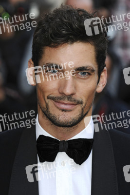 David Gandy
