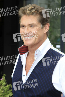 David Hasselhoff
