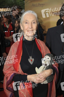 Jane Goodall