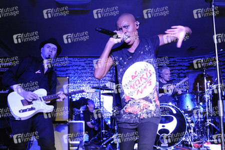 Ace, Skin, Mark Richardson (Skunk Anansie)