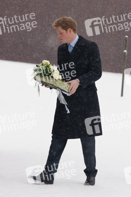 Henry Mountbatten-Windsor / Prinz Harry