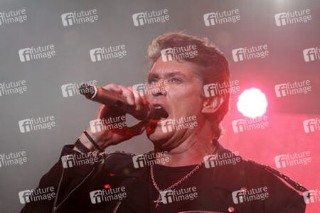 David Hasselhoff