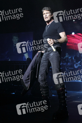 David Hasselhoff