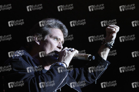 David Hasselhoff