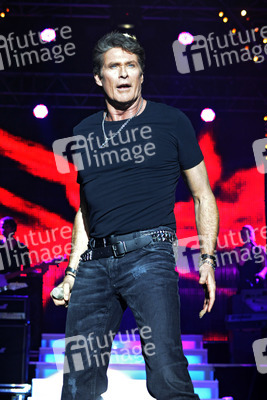 David Hasselhoff