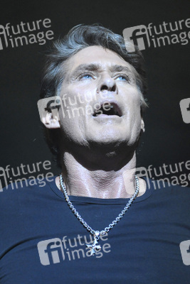 David Hasselhoff