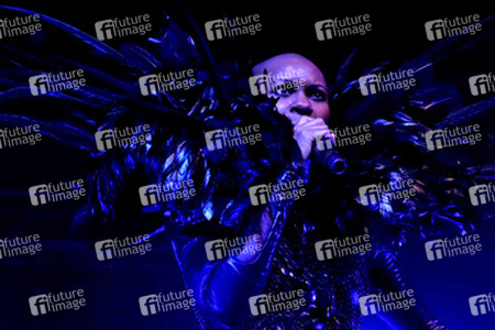 Skin (Skunk Anansie)