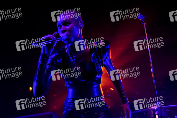 Skin (Skunk Anansie)
