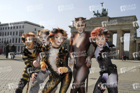 Mitglieder des Cats-Ensembles