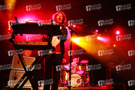 Matthew Murphy, Dan Haggis (The Wombats)